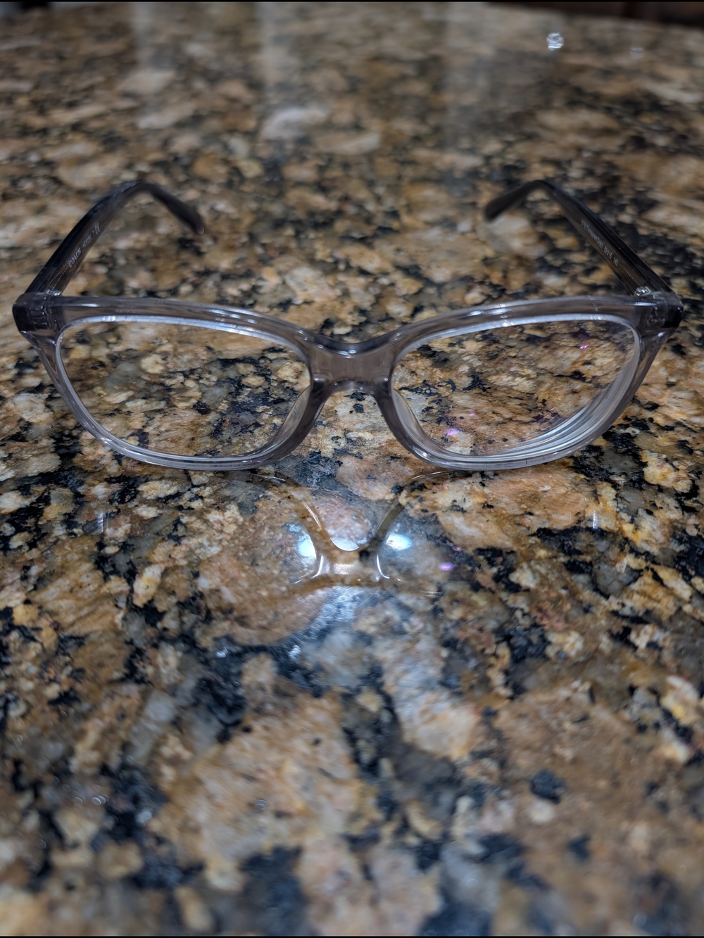 Coach Women's Transparent Gray Sunglasses